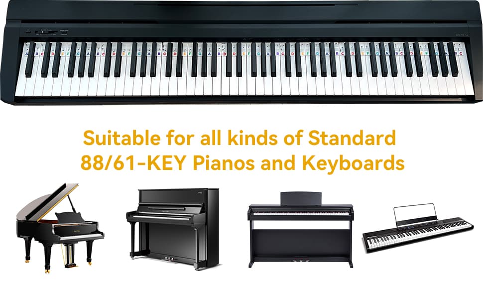 Rainbow Colors - Detail 5