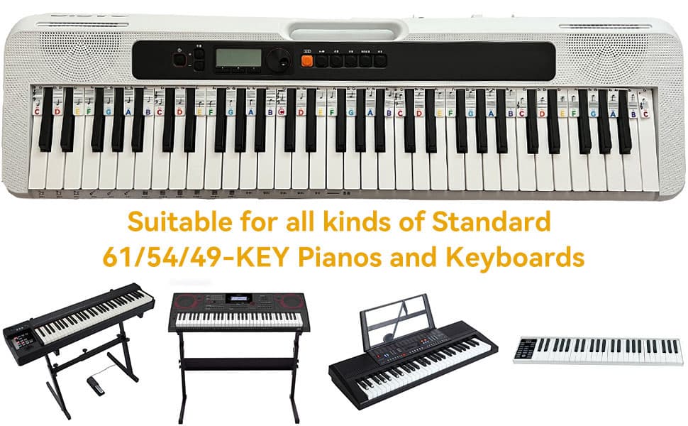 Solfege 61Key-Rainbow - Detail 5