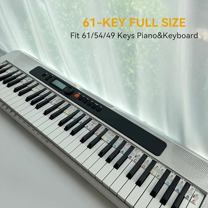 Solfege 61Key-Rainbow - Thumbnail 3