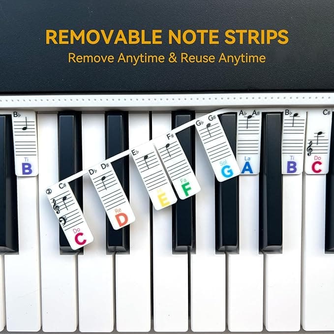 Solfege 61Key-Rainbow - Thumbnail 5
