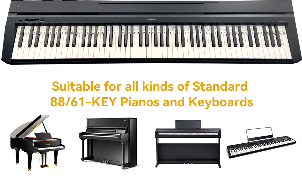 Classic Black Pro - Detail 5