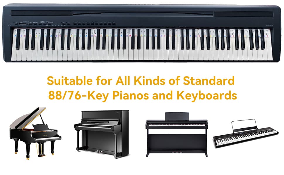 Sharp Flat 88Key-Rainbow - Detail 5
